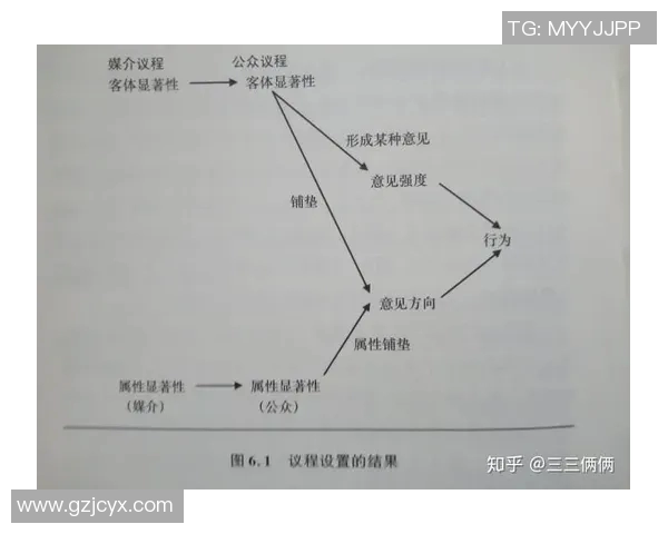 舆论力量与社会变革：如何影响公共政策与大众认知的互动关系分析