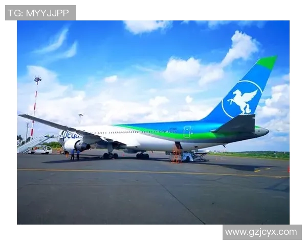 飞盘之路：周敏的深度对话与人生探索之旅